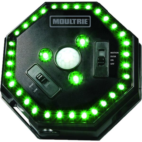 Feeder Hog Light