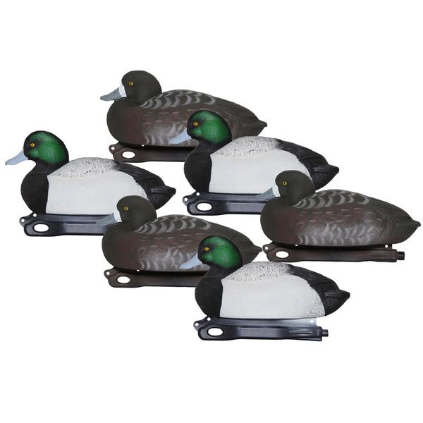 Pro-series Bluebill Decoys 6-Pack