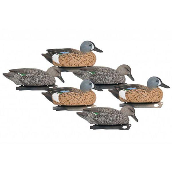 Pro-Series Blue Wing Teal 6 Pack