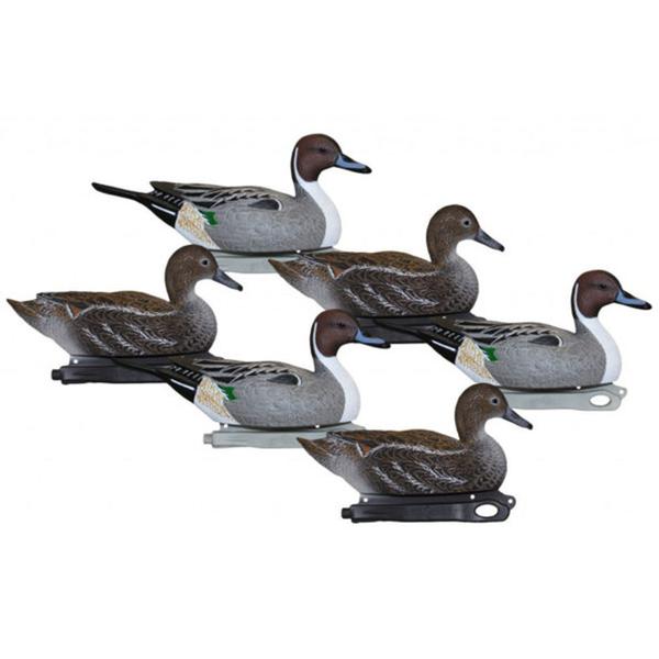 Pro-Series Pintail 6 Pack Decoys