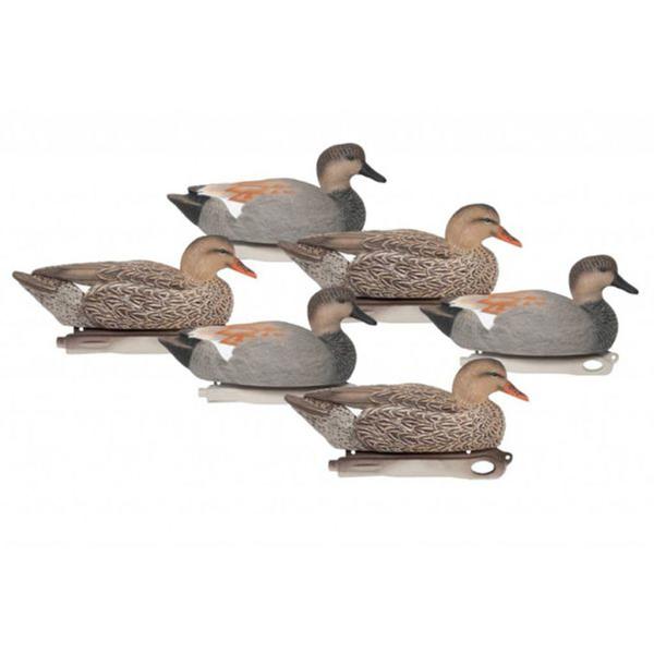 Pro-Series Gadwall 6 Pack Decoys