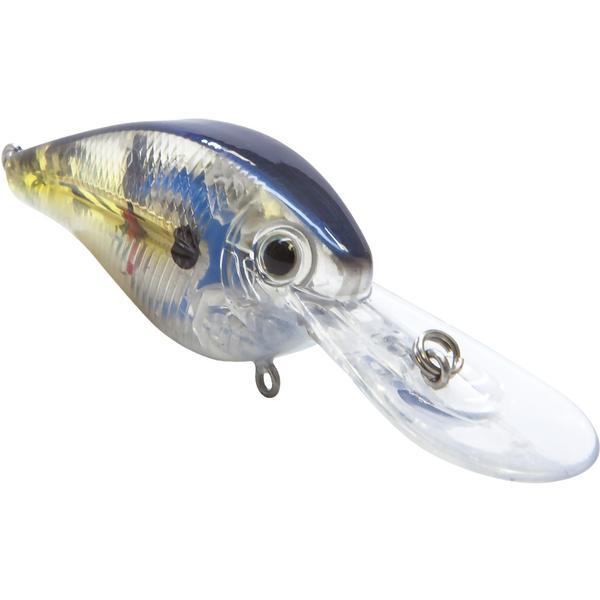 Flat Master- Clearwater Shad