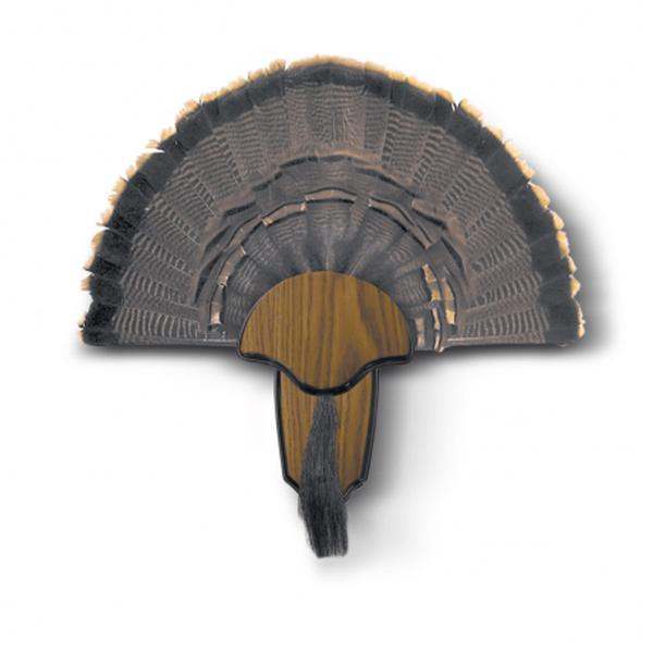 Turkey Tail and Beard Mounting Kit