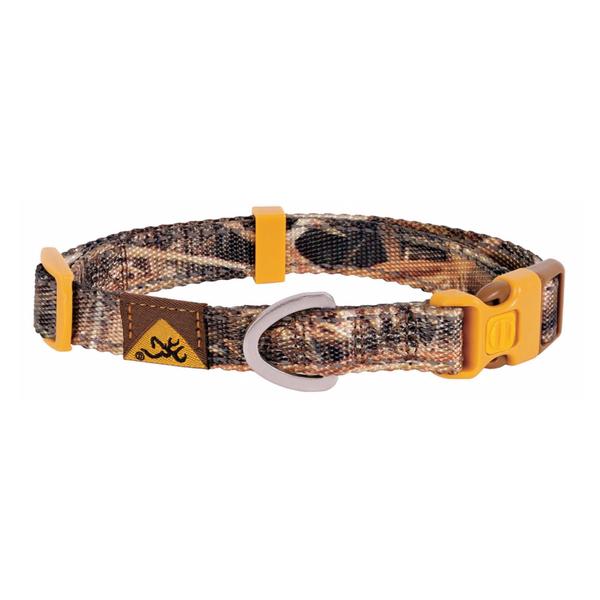 Classic Webbing Dog Collar - Small