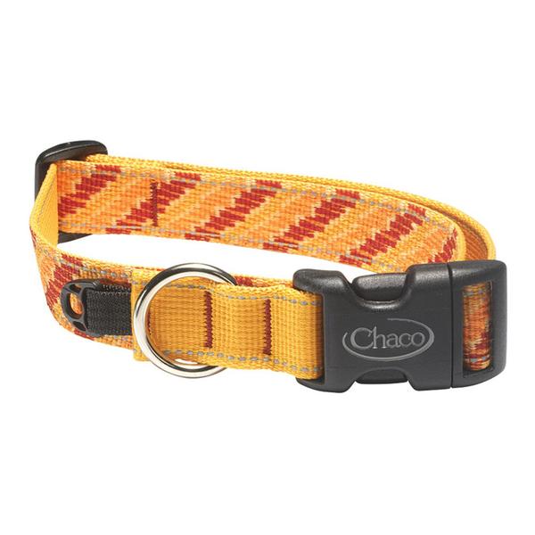 Dog Collar - Tangerine Steps