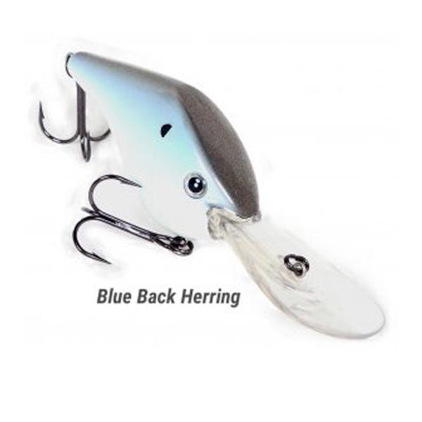 Profound Outdoors Timmy Horton's Z Boss 25
