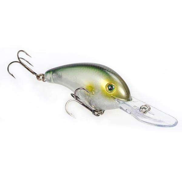 5XD - Clearwater Minnow