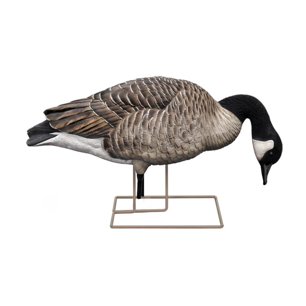 Avian- X Axf Flocked Honker Feed Goose Decoys 6 Pack