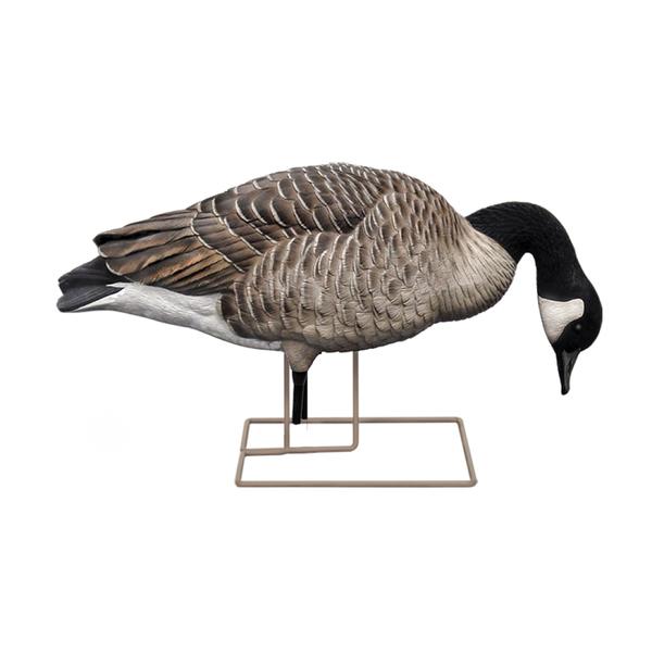 Avian-X AXF Flocked Honker Feed Goose Decoys 6 Pack