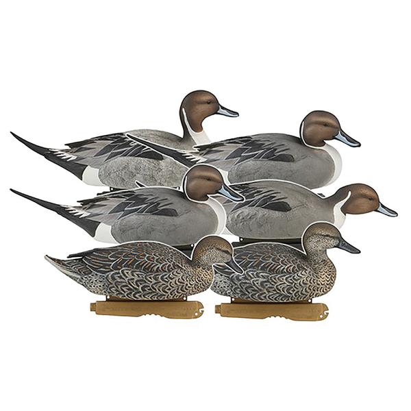 Pro-Grade Pintails Pack