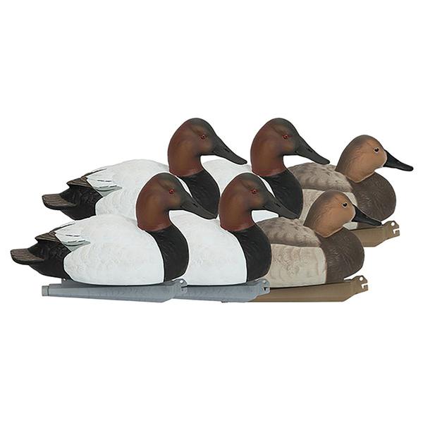 Pro-Grade Canvasbacks Pack