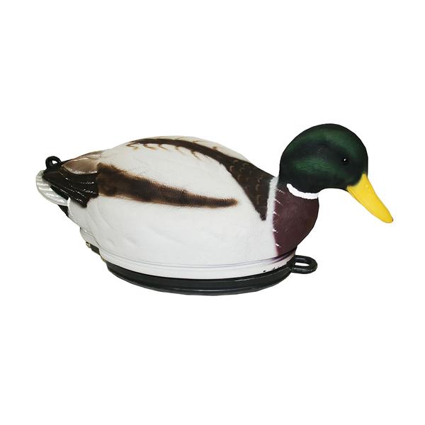 Mallard Swimmer