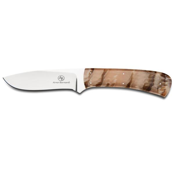 Grazer Kudu - Sheep Horn
