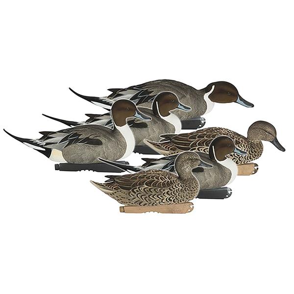 Pro-Grade Fully-Flocked Elite Pintails Package