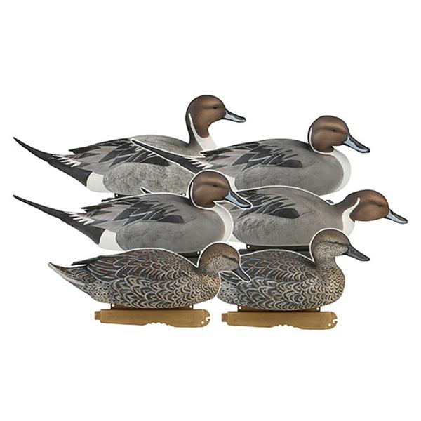 Pro-Grade PINTAILS 6-PACK