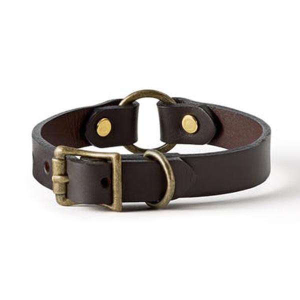 puppy collar