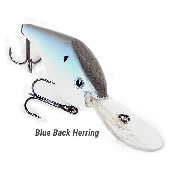 Timmy Horton's Z Boss 25