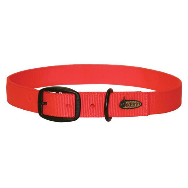 Dog Collar, Small - Blaze