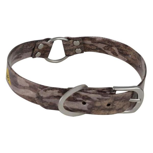 Classic Webbing Dog Collar - Small