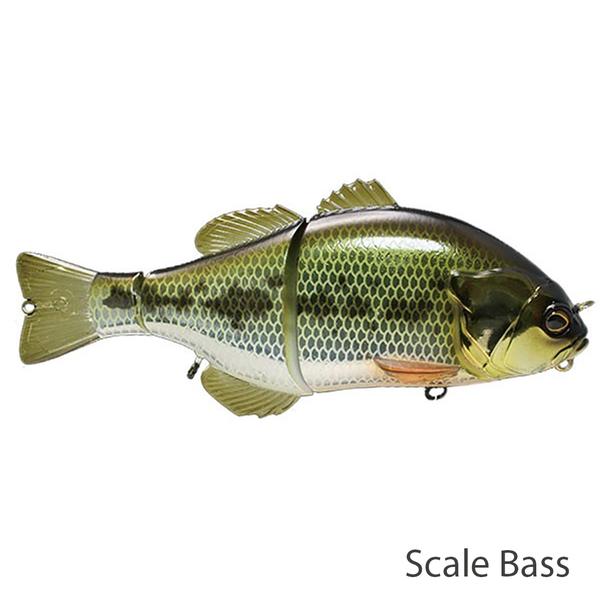 GANTAREL JR RT SCALE BASS