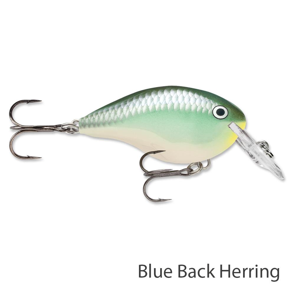 Rapala DT4 CUSTOM INK BLUE BACK HERRING