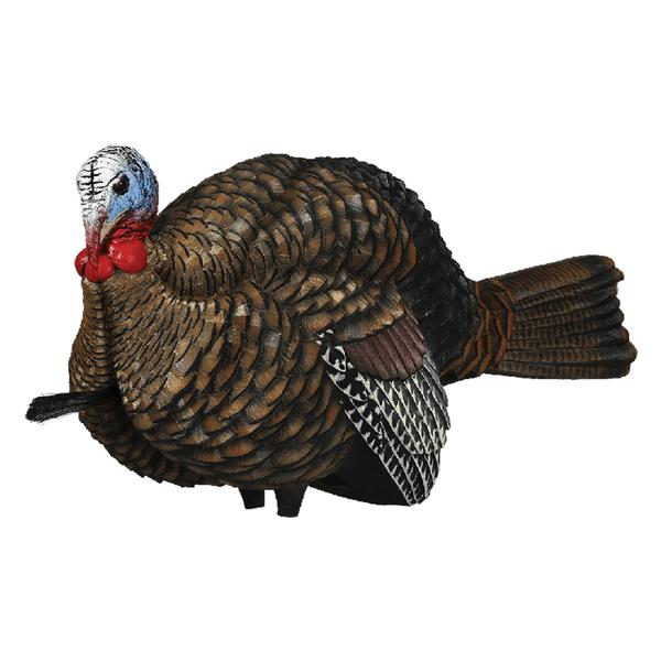 Avian-X 1/2 Strut Jake