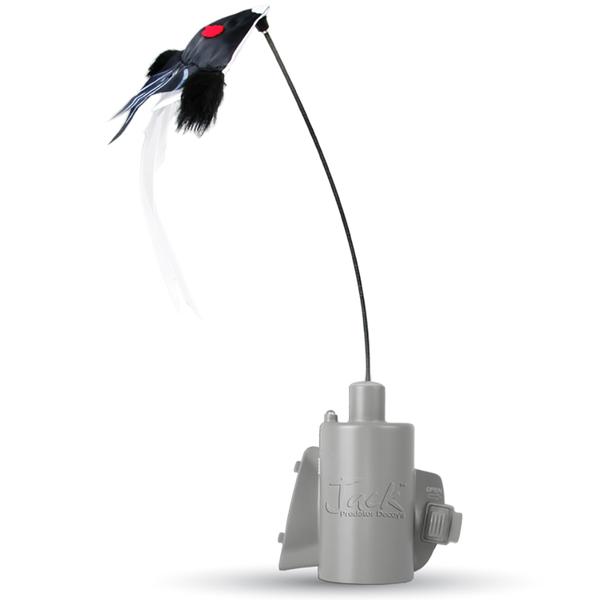 FOX JACK 5 PREDATOR DECOY