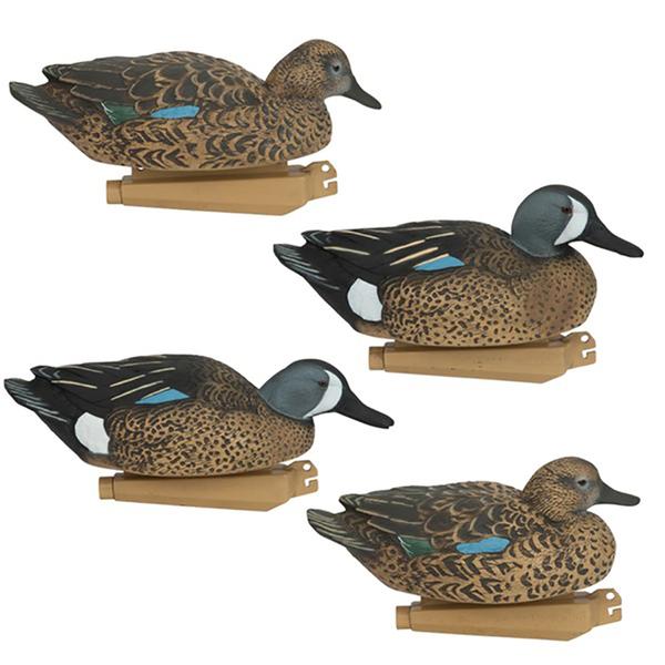 Pro-Grade BLUE-WINGED TEAL 6-PACK