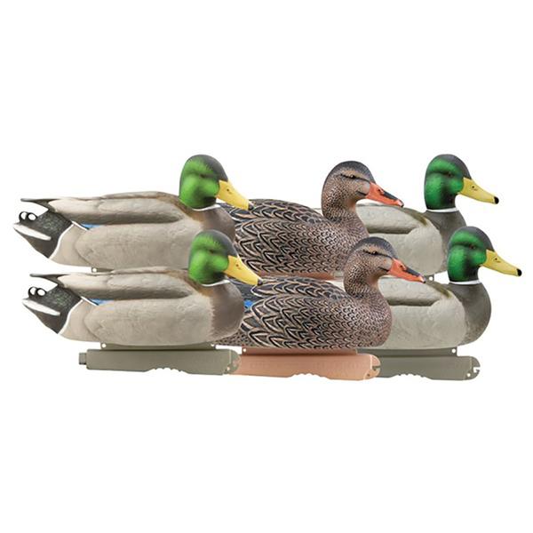 PRO-GRADE MALLARDS ACTIVE Pack