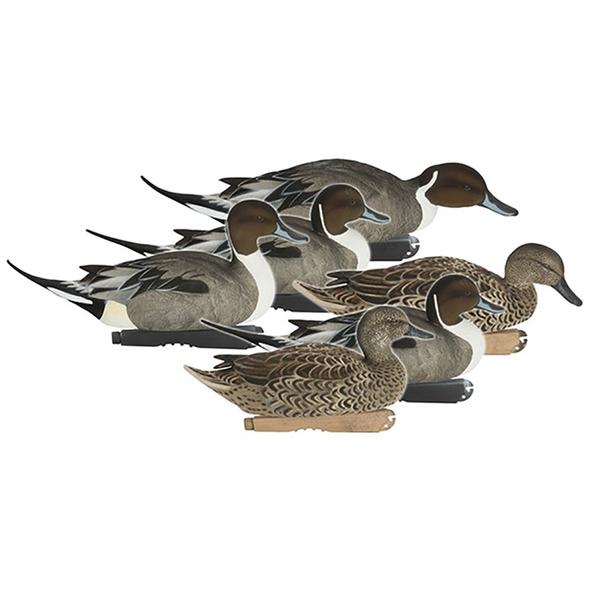 Pro-Grade FFD ELITE PINTAILS 6-PACK