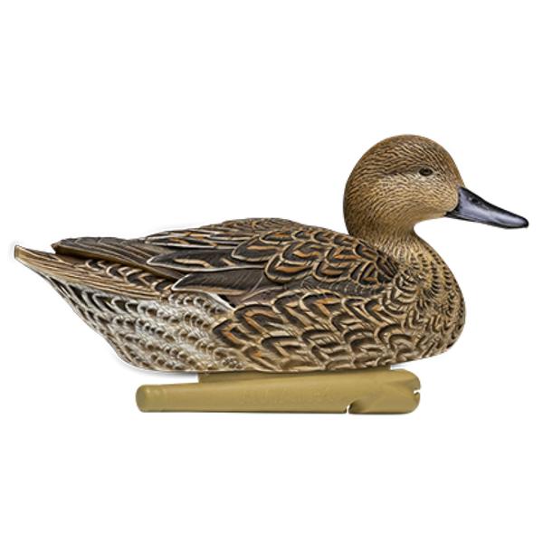 AVIAN-X TOP FLIGHT PINTAIL 6PK