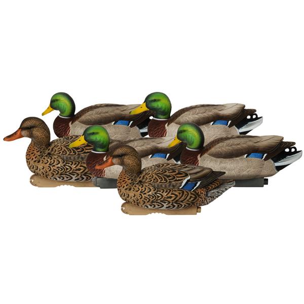 PG XD SERIES MALLARDS ACTIVE 6-PACK
