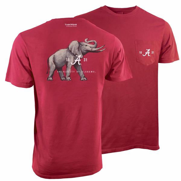 WATERCOLOR ELEPHANT SOFTSTYLE S/S TEE