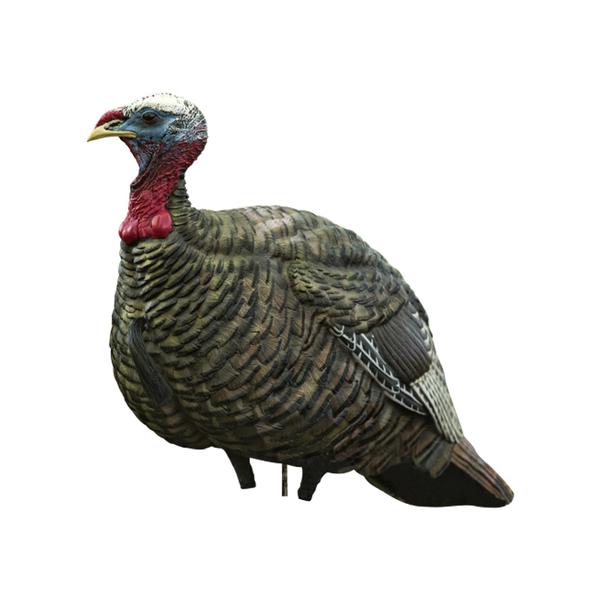 Avian-X LCD Jake Quarter Strut Decoy
